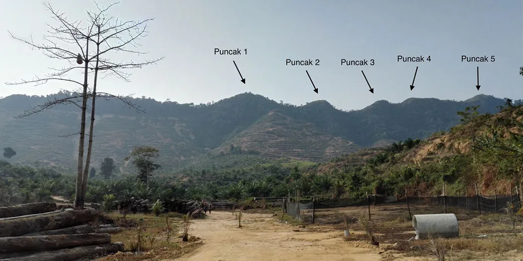 5 Peaks of Bukit Berekeh Favored by Hikers