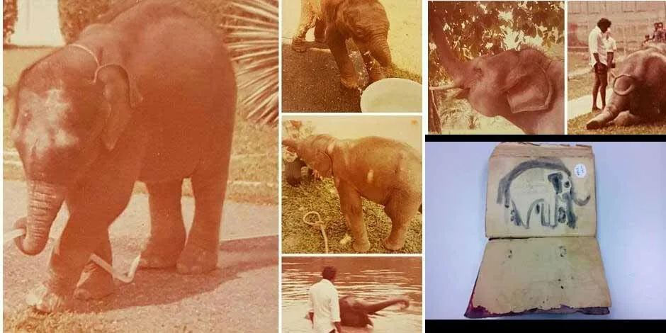 Kitab Pemeliharaan Gajah Di Hulu Perak