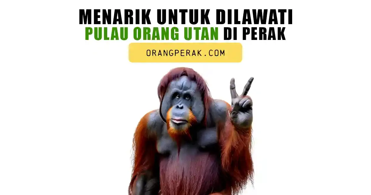 Orang Utan Island in Bukit Merah, Perak