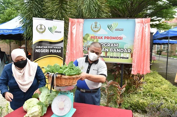 Belia Perak Kurang Terlibat Dalam Sektor Pertanian Di Negeri Ini