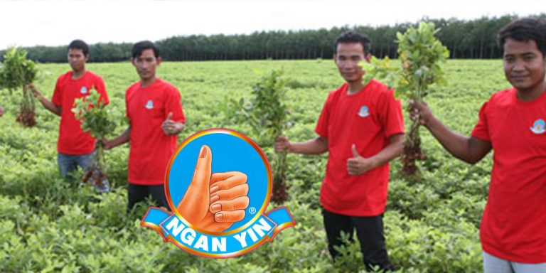 Kacang Menglembu Kini Di Persada Dunia