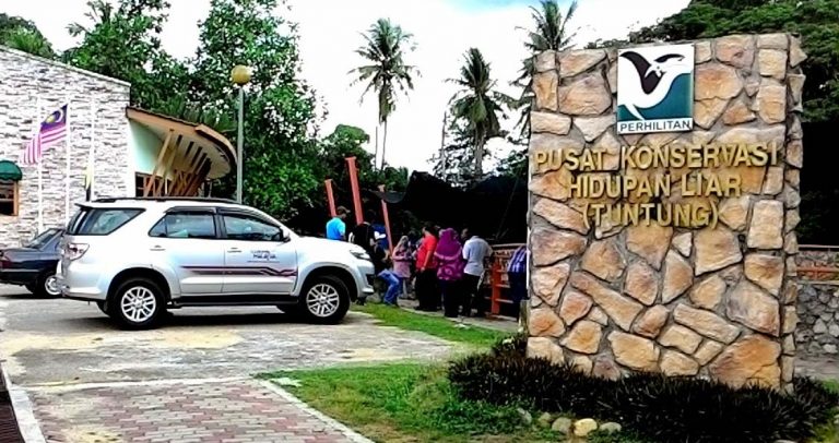 Pusat Ternakan Tuntung Di Bota Kanan