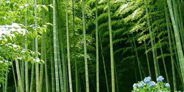 Cerita Rakyat Buluh Apa Di Tanah Abang, Pusat Pentadbiran Pertama Perak