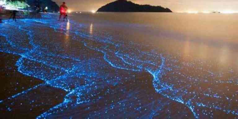 Pantai Bercahaya Biru Di Pulau Sembilan, Perak