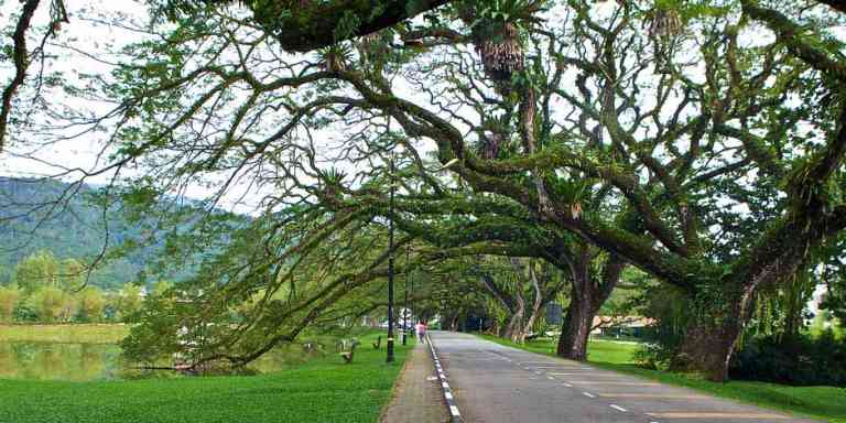 Taman Tasik Taiping, Taman Awam Tertua Di Malaysia
