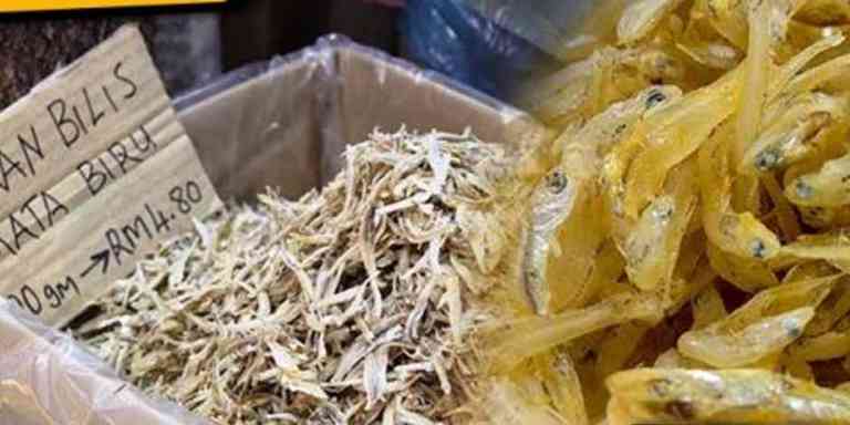 Ikan Bilis Mata Biru Cukup Popular Di Pulau Pangkor