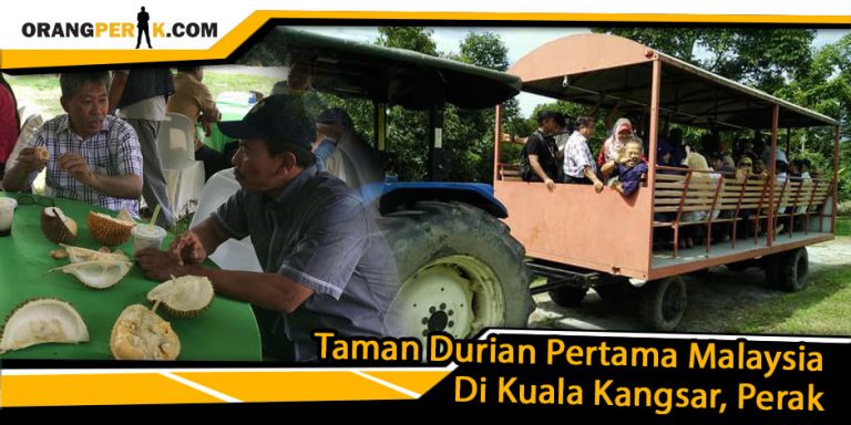 Taman Durian Pertama Malaysia Di Kuala Kangsar