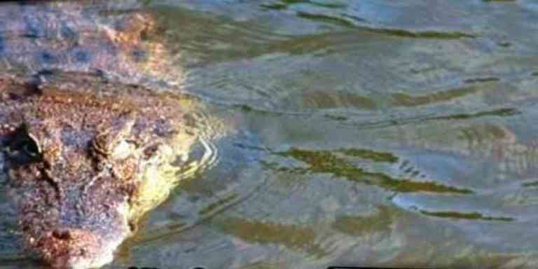 Kisah Lagenda Kolam Buaya Emas Di Telok Bakong, Bota