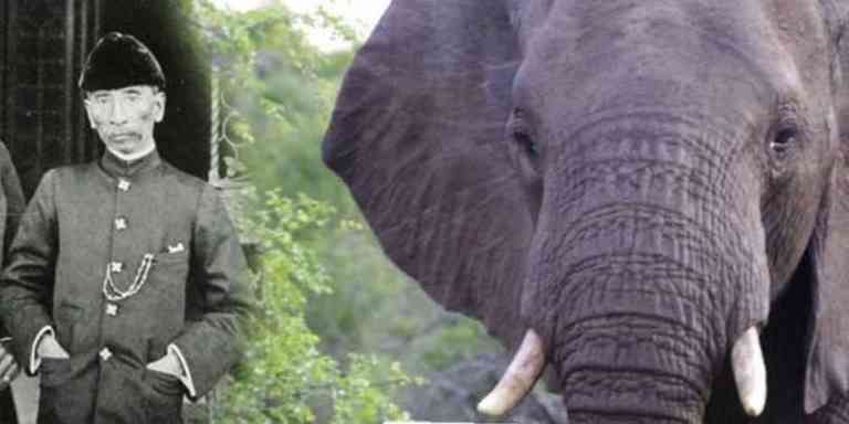 Kisah Kulup Chandan, Gajah Peliharaan Sultan Idris I