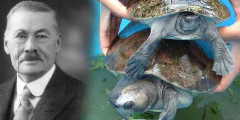 Catatan Frank Swettenham Berkenaan Tuntung Di Bota Kanan