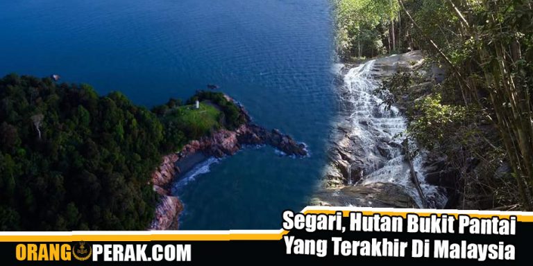 Segari, Hutan Bukit Pantai Yang Terakhir Di Malaysia