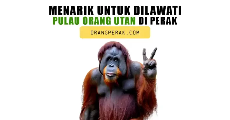 Pulau Orang Utan Di Bukit Merah, Perak