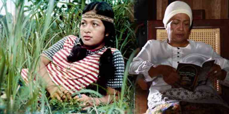 Kisah Fauziah Nawi Yang Berasal Dari Ipoh, Perak