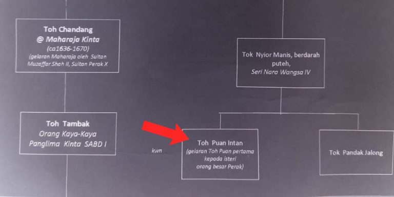 Toh Puan Che Intan binti Toh Senongsa Seri Nara Wangsa IV, Toh Nyior Manis