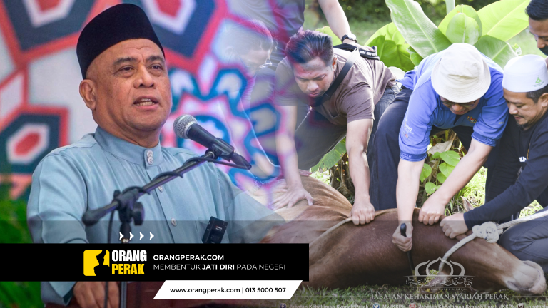 Kerajaan Perak Akan Mengagihkan 436 Lembu Korban Sempena Aidiladha