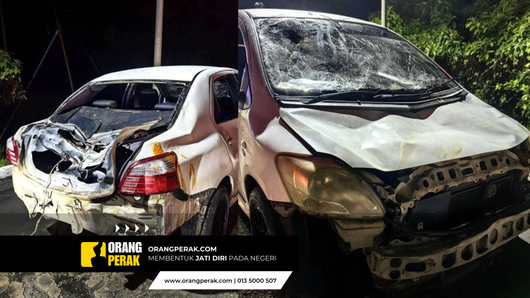 Gajah Serang Kenderaan di JRTB: PERHILITAN Nafi Kaitan dengan Kematian Anak Gajah Sebelum Ini