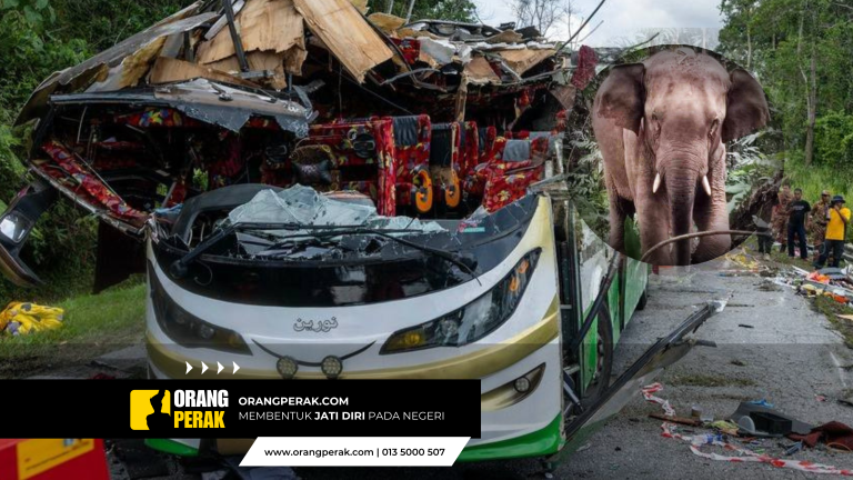 Jangan Berhenti Merakam Lokasi Kemalangan, Gajah Boleh Muncul Bila-Bila Masa