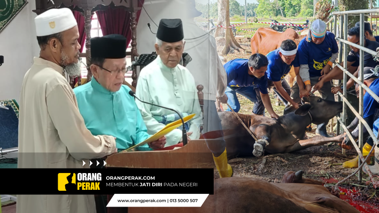 Majlis Penyerahan Lembu Bagi Ibadah Qurban Sultan Nazrin Shah Untuk Daerah Hilir Perak
