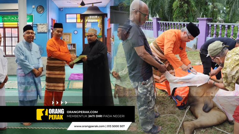 Orang Besar Jajahan Kampar Menyerahkan Lembu Korban Sultan Nazrin Shah Bagi Daerah Kampar