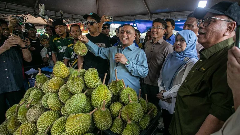 Perak Menjadi Pengeluar Utama Durian Negara 2024