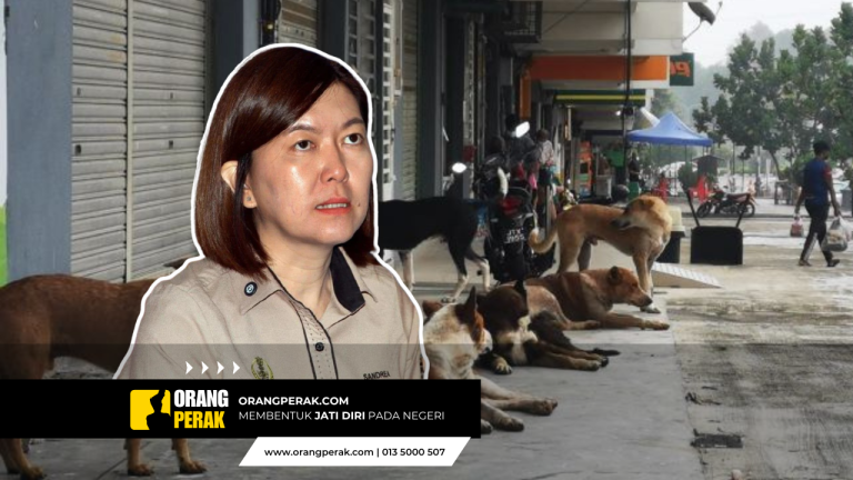 Kerajaan Perak Kaji Tindakan Undang-undang Pada Penyebar Maklumat Palsu Isu Anjing Liar