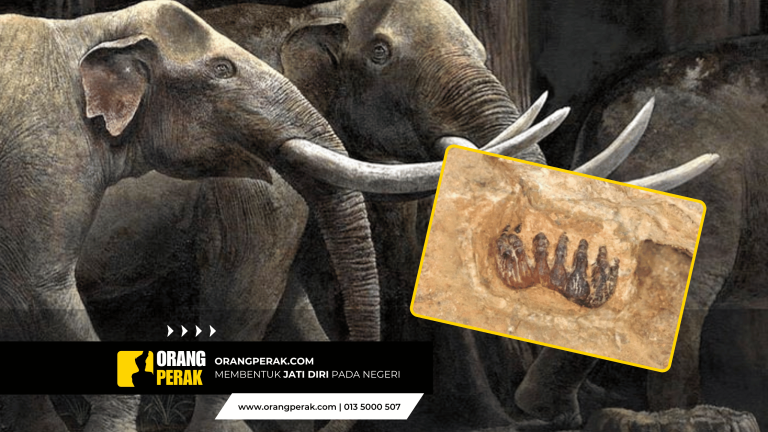 Penemuan Fosil Stegodon di Gua Gopeng, Perak: Bukti Baharu Evolusi Mamalia Purba di Asia Tenggara